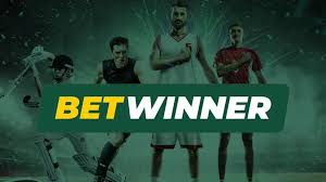 BetWinner Sports Betting Platform Your Guide to Winning Big